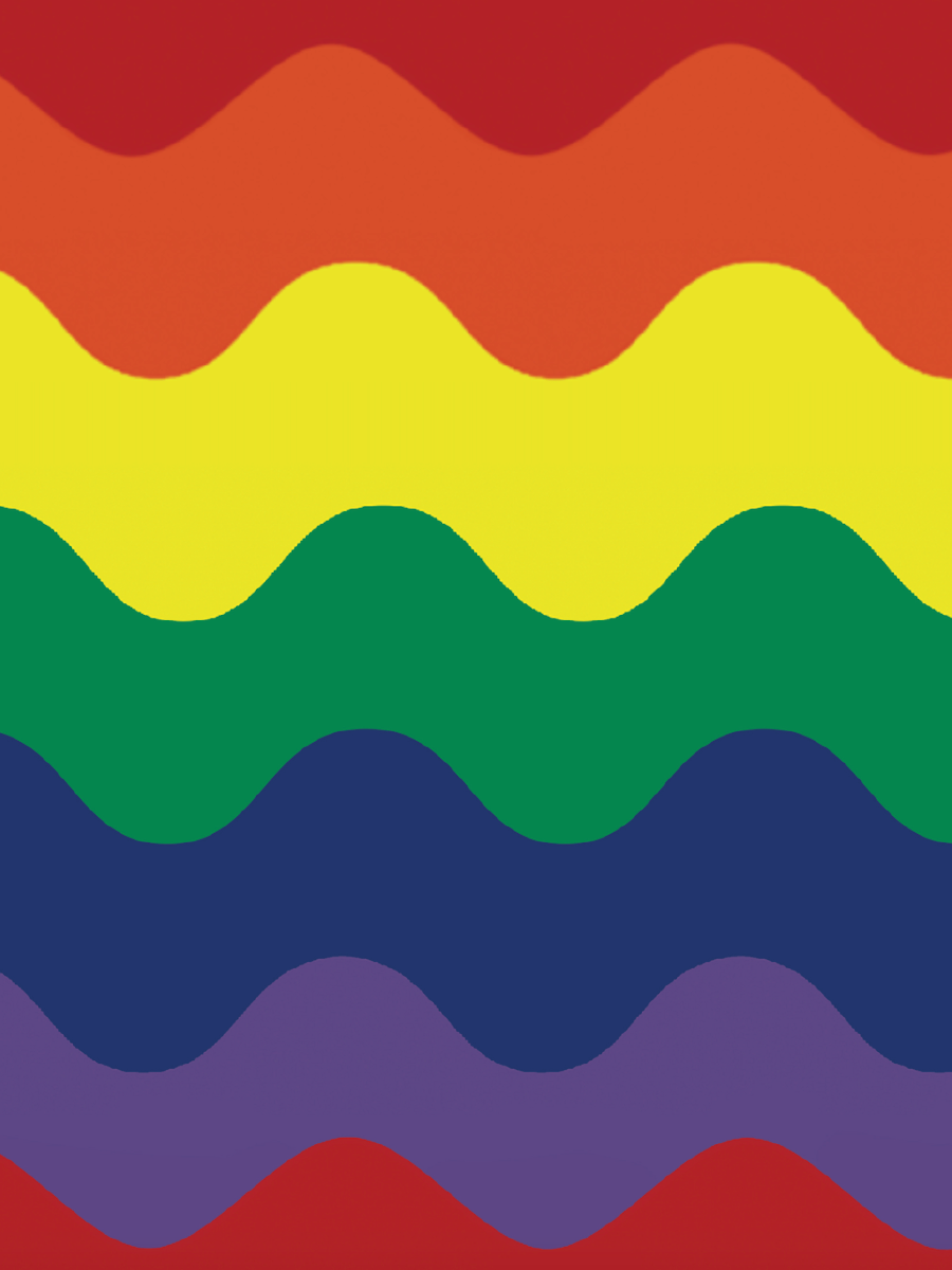 Mesh Top - Rainbeaux