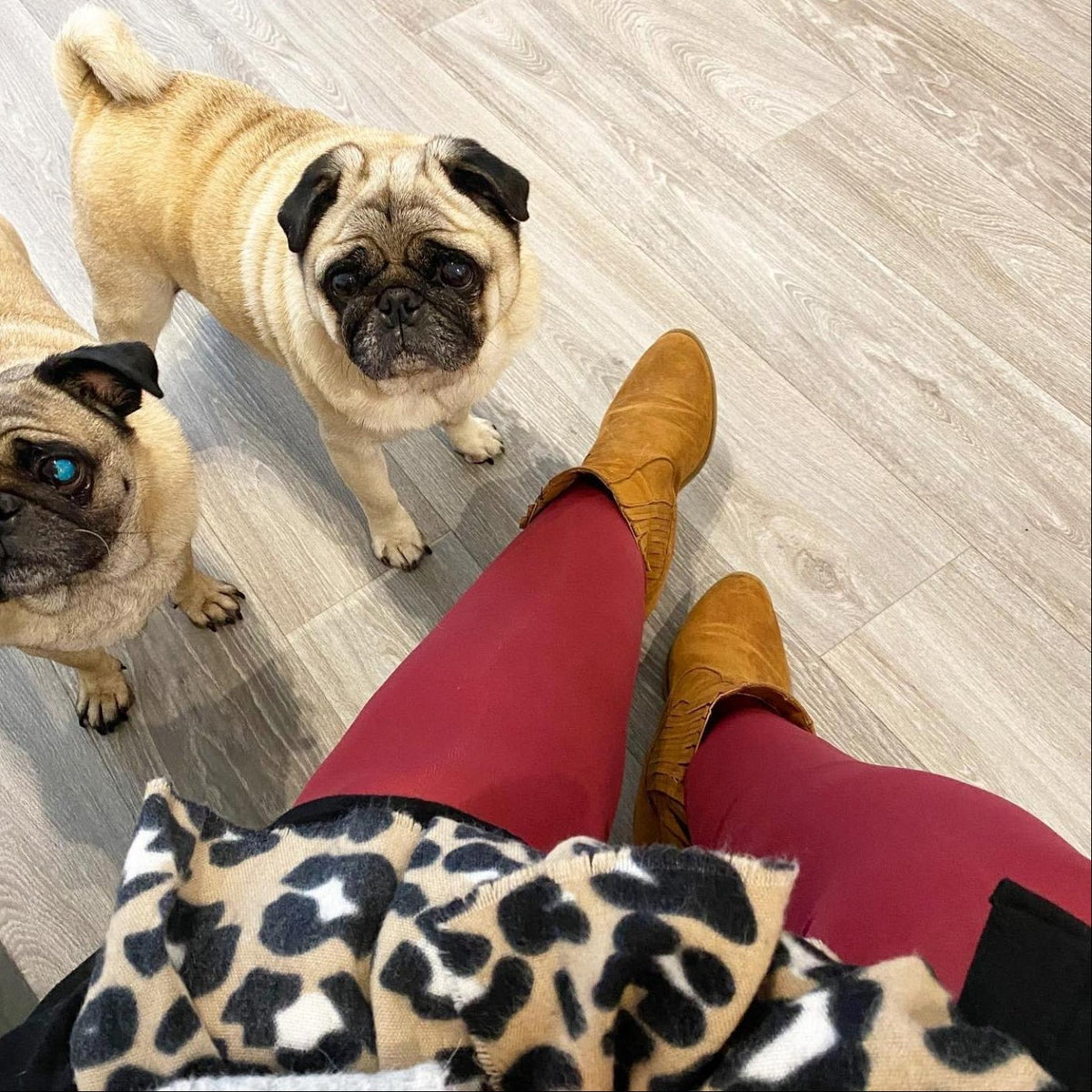 Opaque 80 Den Tights - Burgundy