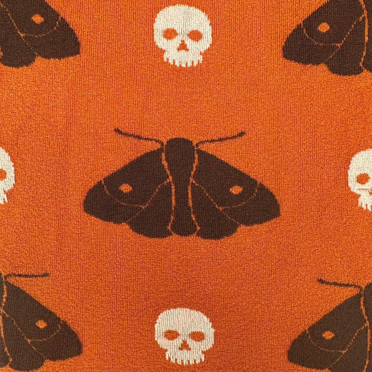 Death's Head Moth