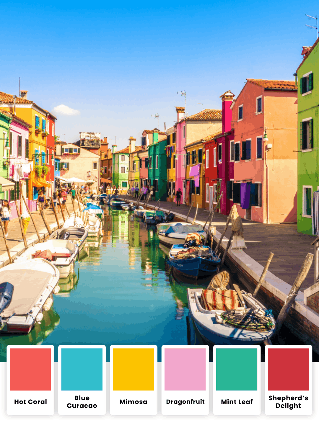 6 Pack Vivid Shore Bundle - Stay Cool Chub Rub Shorts